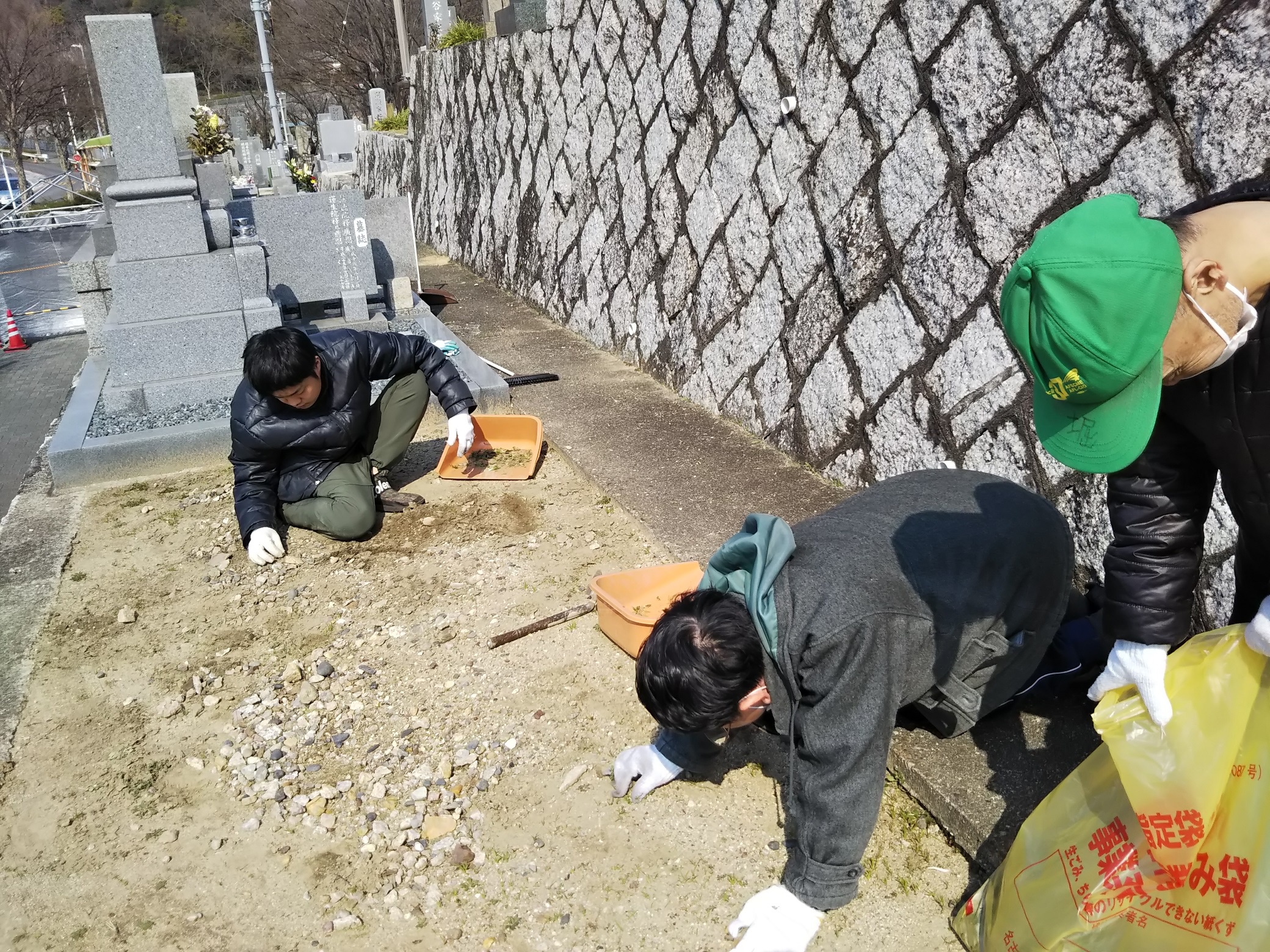 細かい雑草も丁寧に取っている写真
