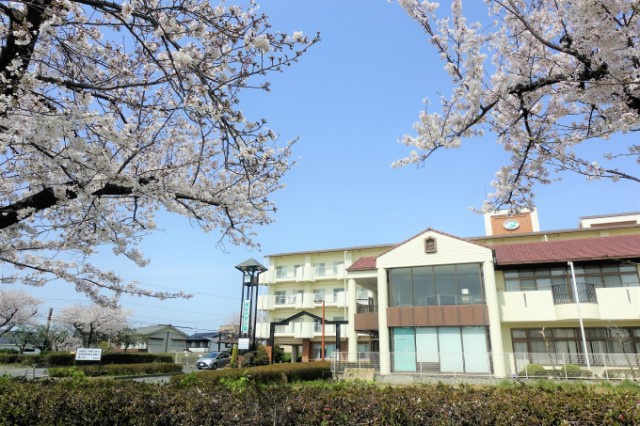 桜の向こうにマザー園の建物がみえる写真です