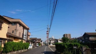 通勤時に歩いている道のりの風景