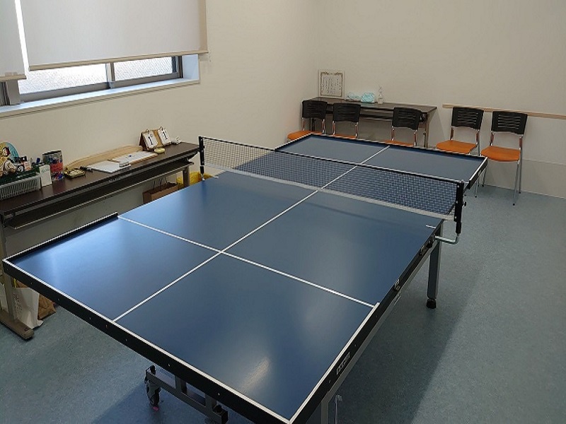 卓球台とラケットの写真