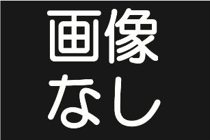 点字つき日本地図パズルの写真