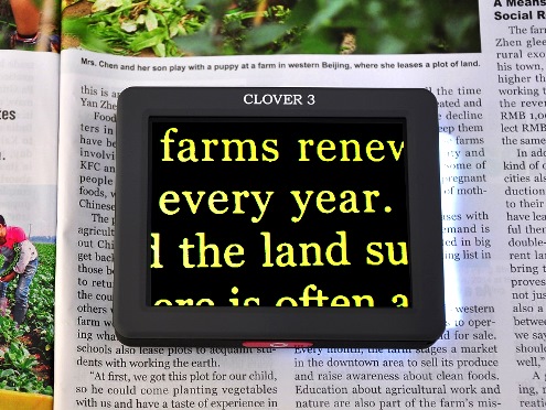 クローバー３の写真