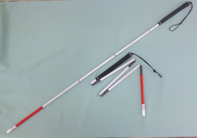 セガワケーンの写真