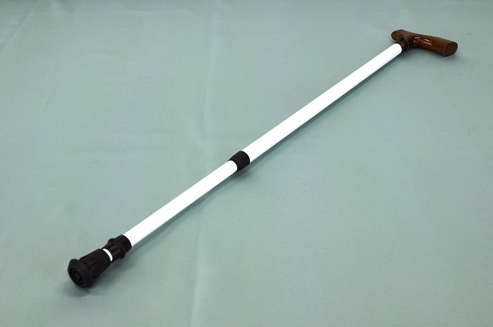 フリーストップケーンの写真