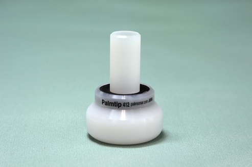 石突　パームチップの写真