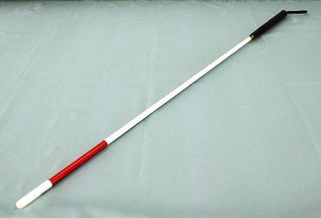 リジットケーンの写真