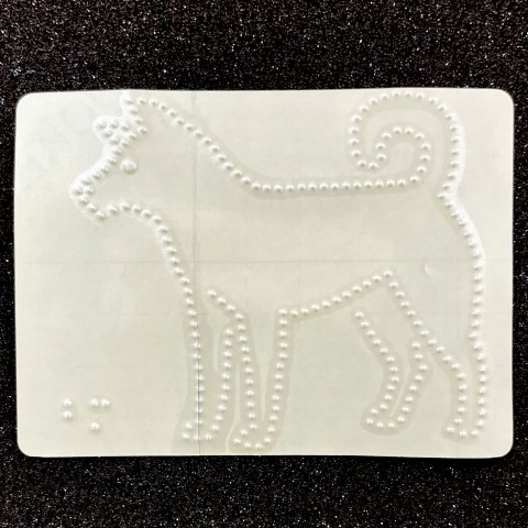 「犬」の写真