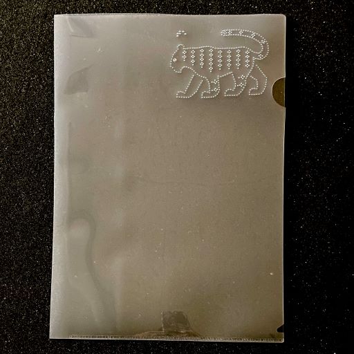 クリアファイル　虎の写真