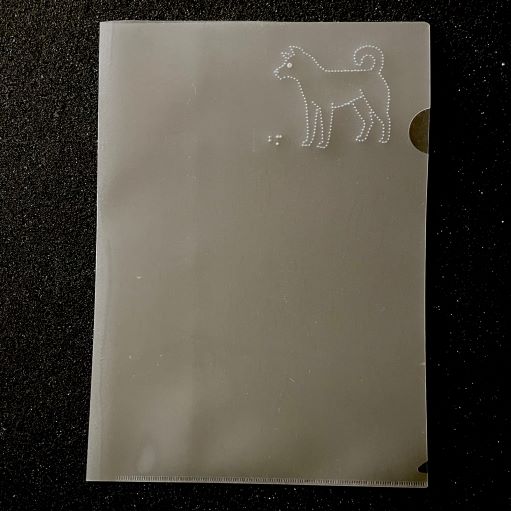 クリアファイル　犬の写真