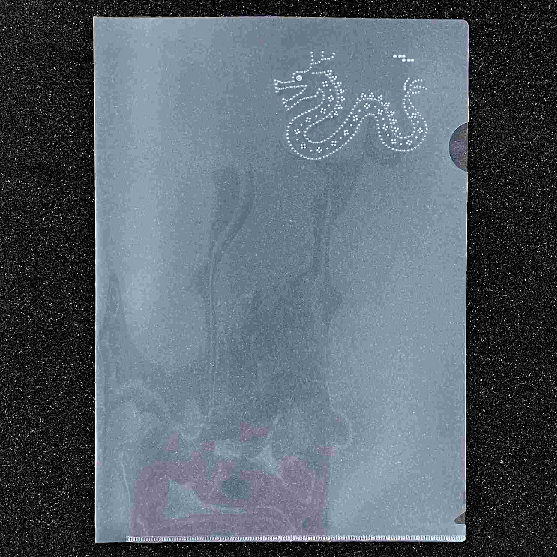 クリアファイル　龍の写真