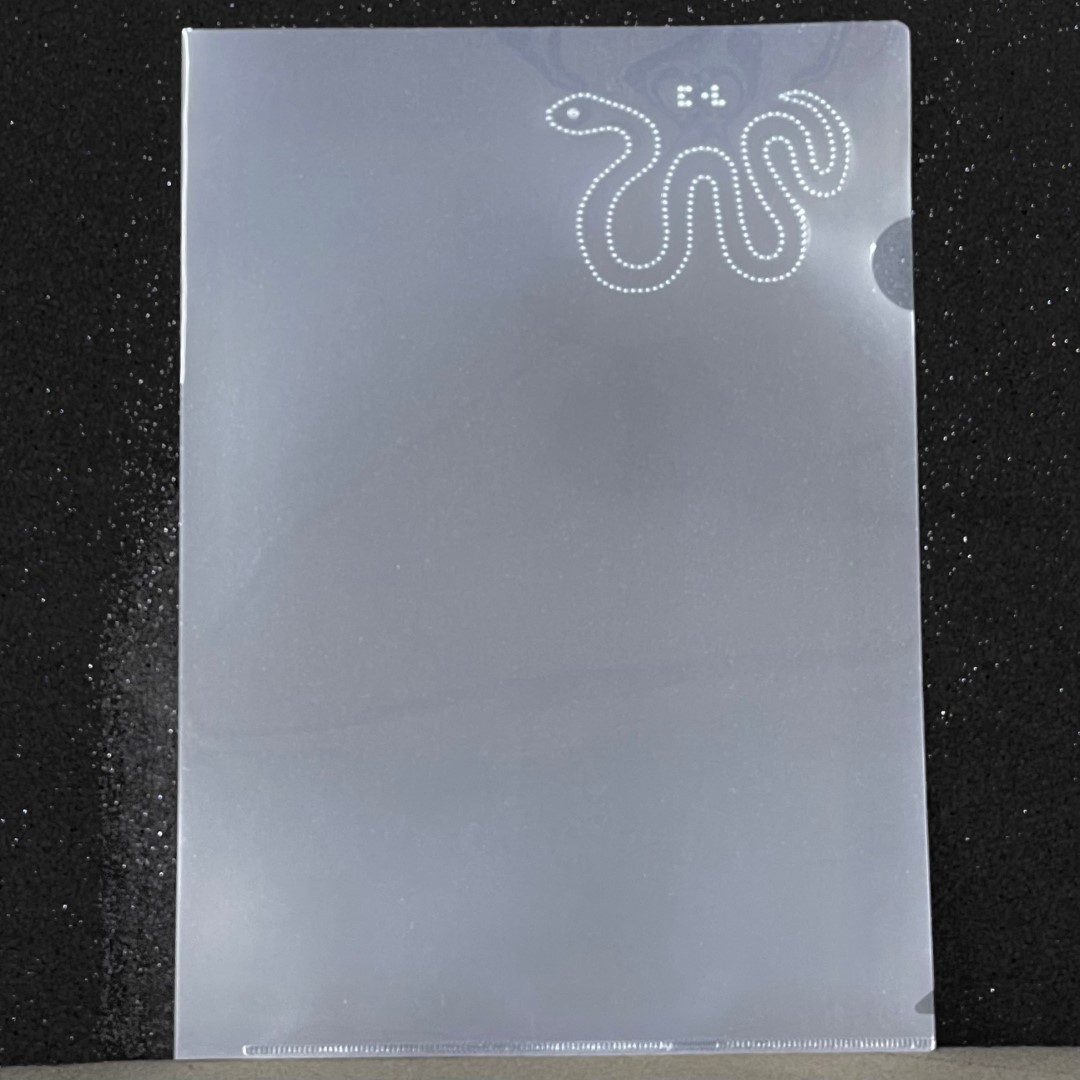 クリアファイル　蛇の写真