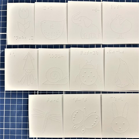 図柄部分11種類の集合写真