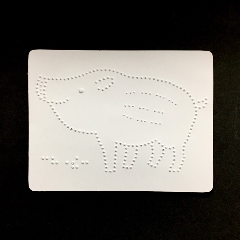 「うり坊」の写真